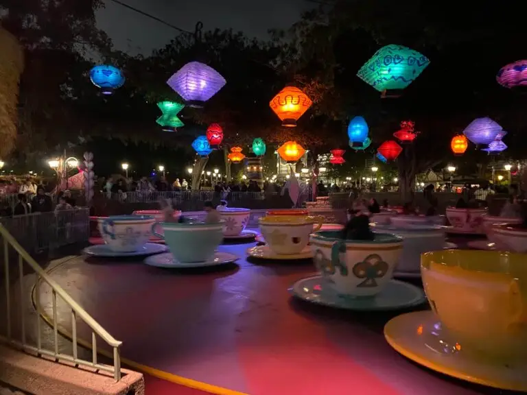 Tea cups at Disneyland at night