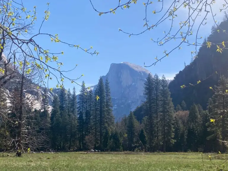 View of half dome from the valley