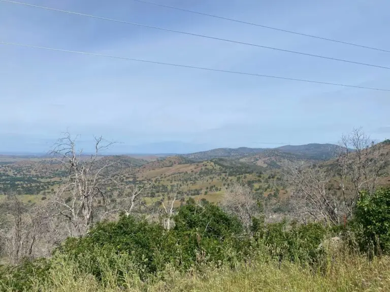 Beautiful views as you drive out of the mountains and toward the coast.