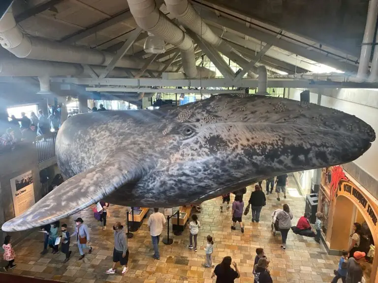 Entrance hall of the Monterey Bay Aquarium