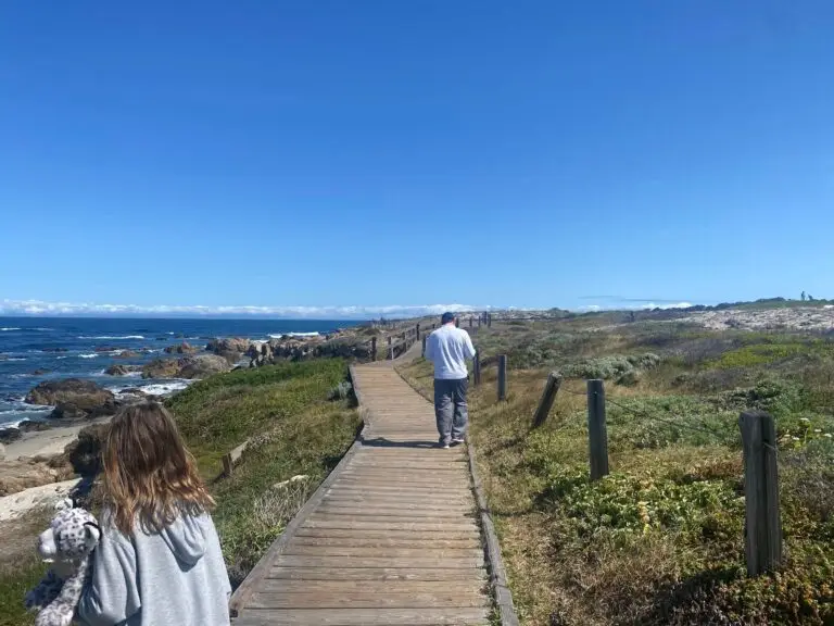 Stop 5 in 17-mile Drive