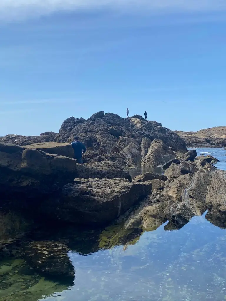 Climbing on rocks in Point Lobos