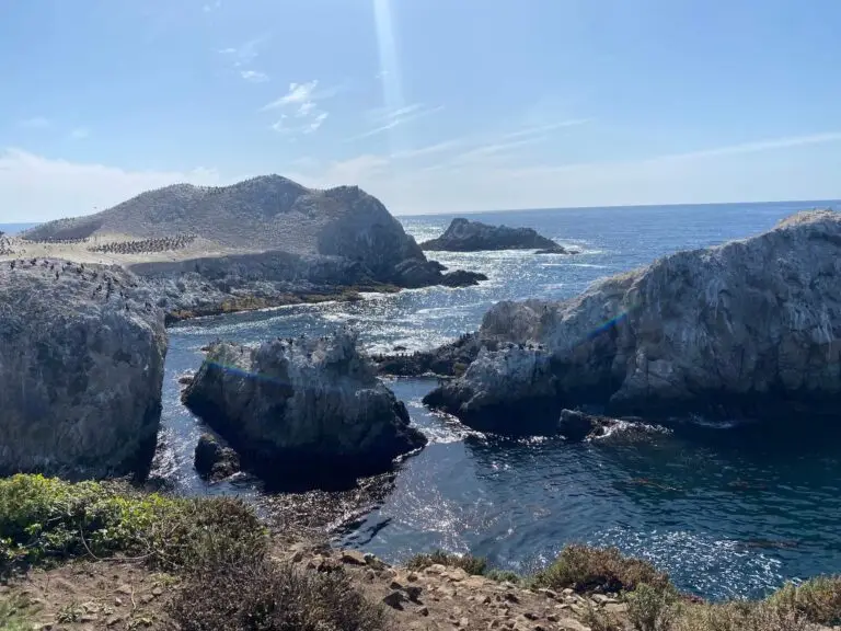 Beautiful views along the trails in Point Lobos