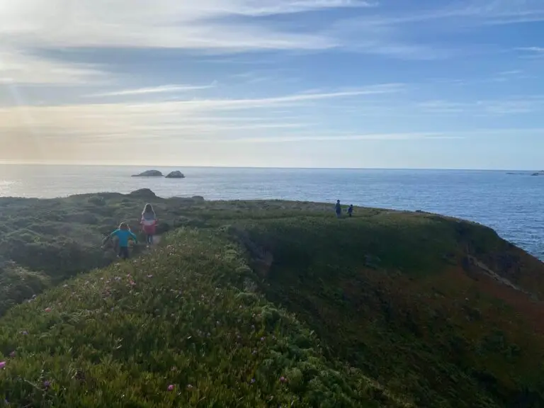 Garrapata State Park Bluff Trail