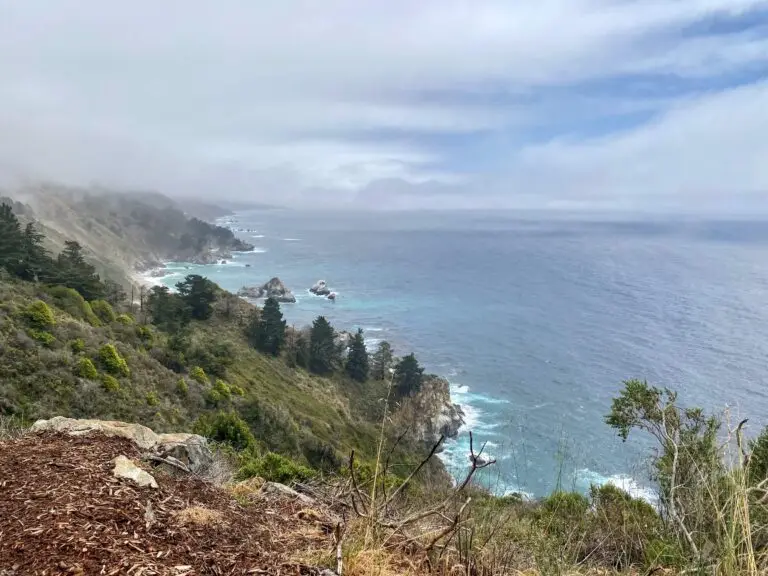 Big Sur Views