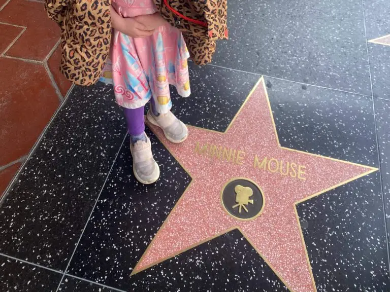 Stars on the Hollywood Walk of Fame