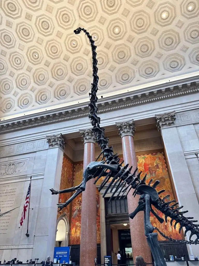 Dinosaur bones in the rotunda of the Natural History Museum