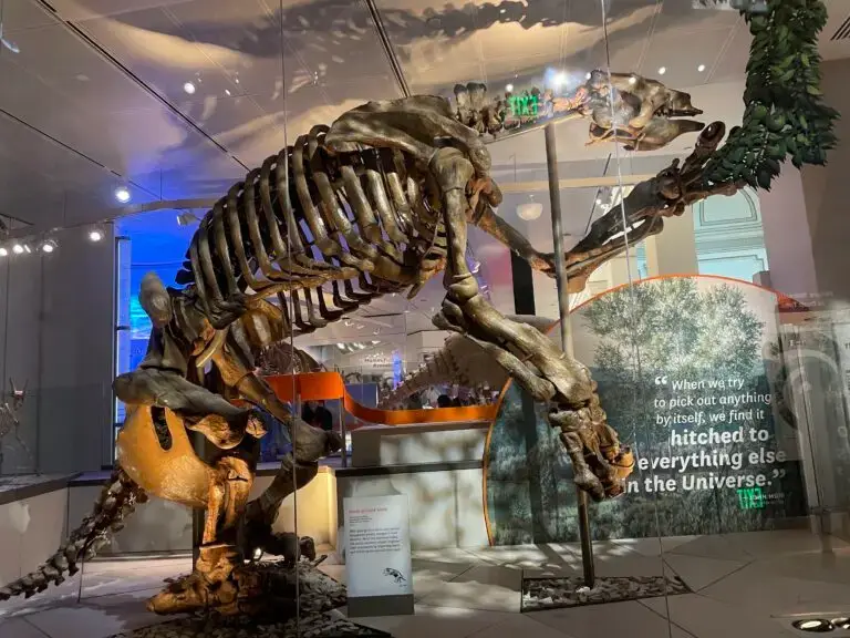 natural-history-museum-3