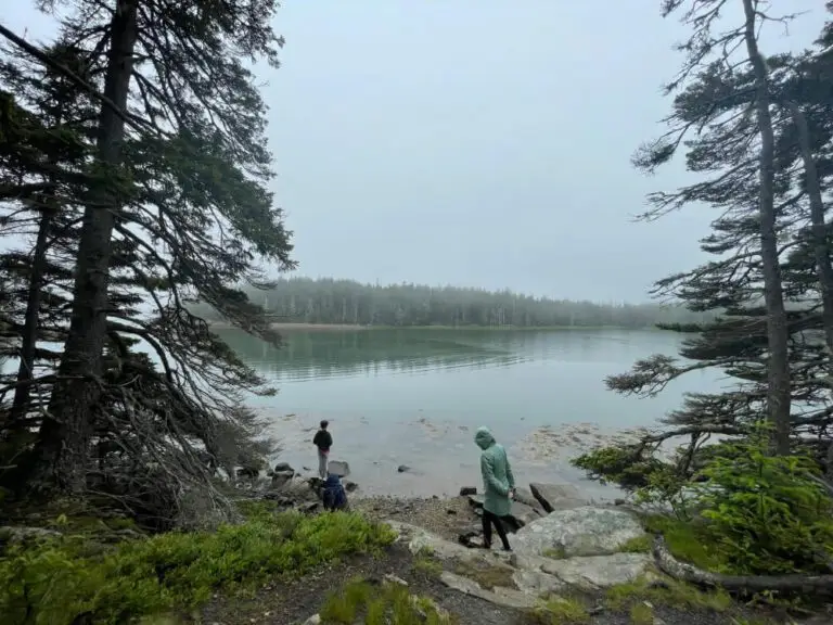The Ship Harbor trail leads takes you along the edge of an inlet.