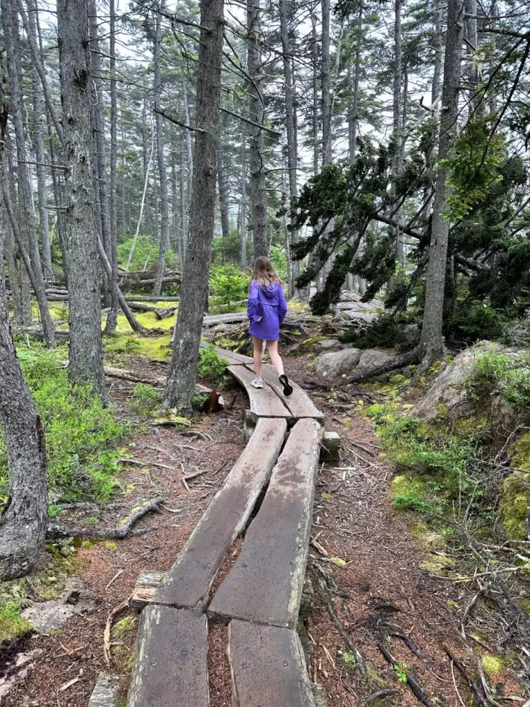 Part of the Ship Harbor trail has wooden walkways.