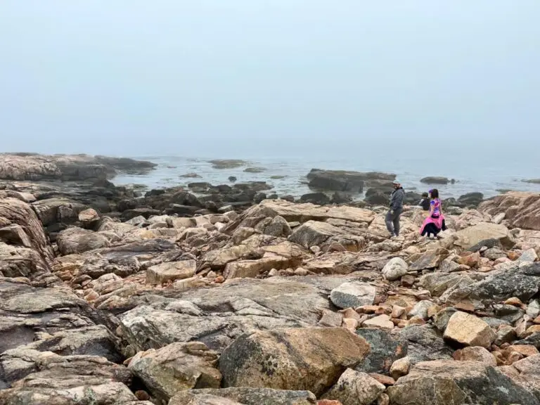 There are lots of rocks to explore and climb on at the apex of the trail.