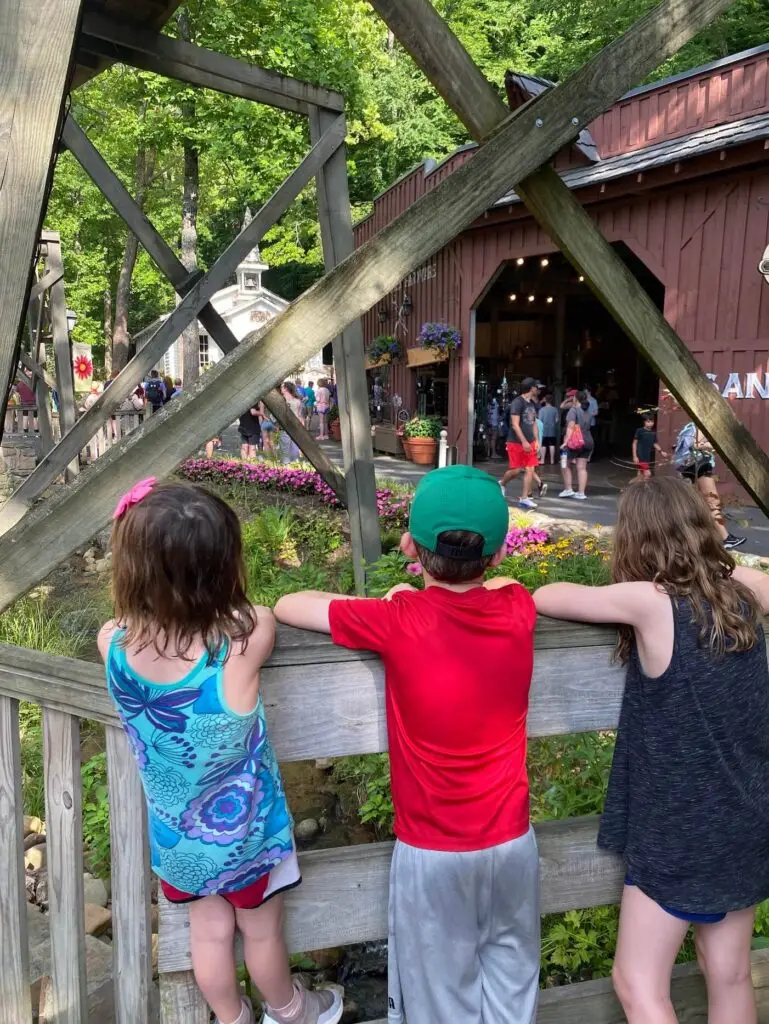 Admiring the beautiful park