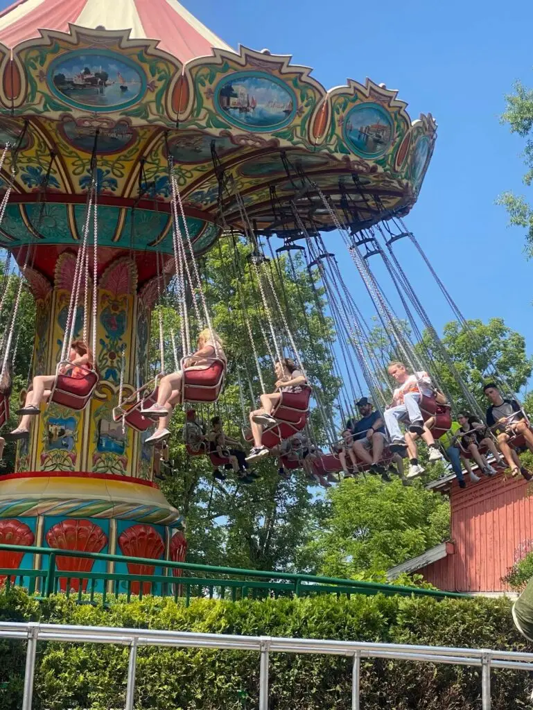 Swings in the Country Fair