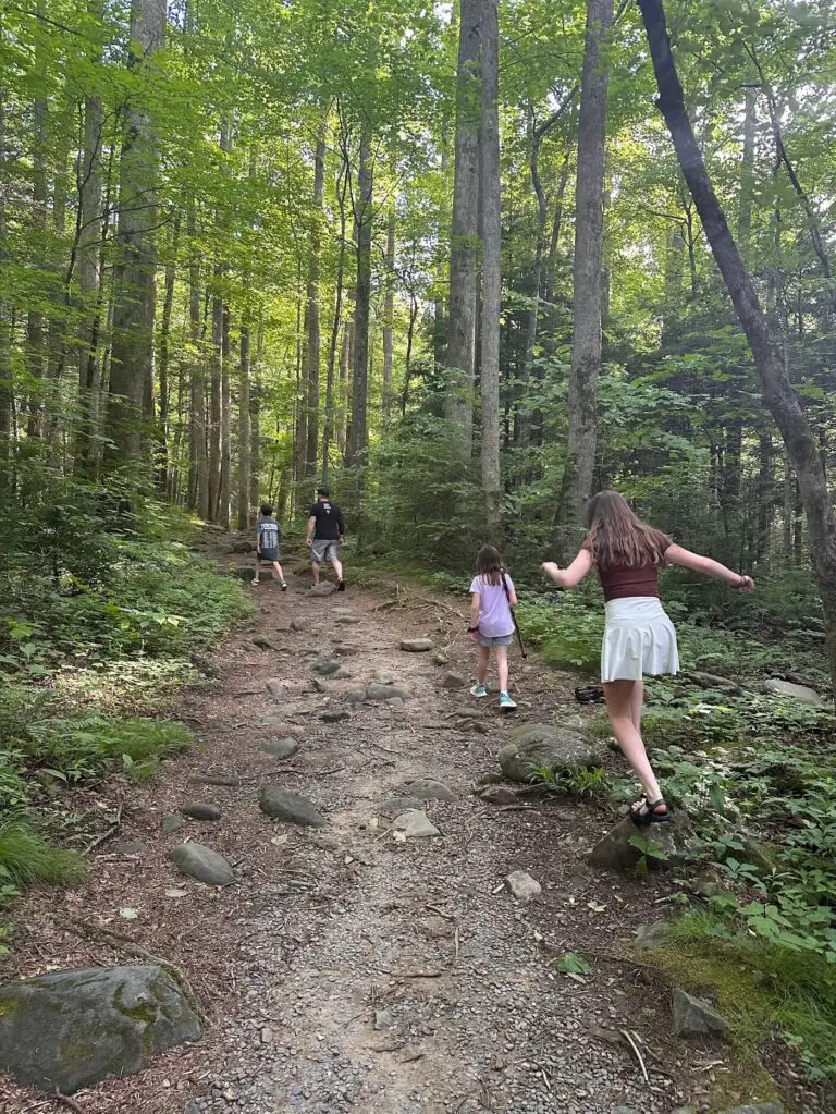 Nature Trail behind the Ogle Cabin on the Roaring Fork Loop