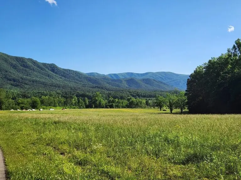 Cades Cove is a beautiful valley surrounded by mountains.