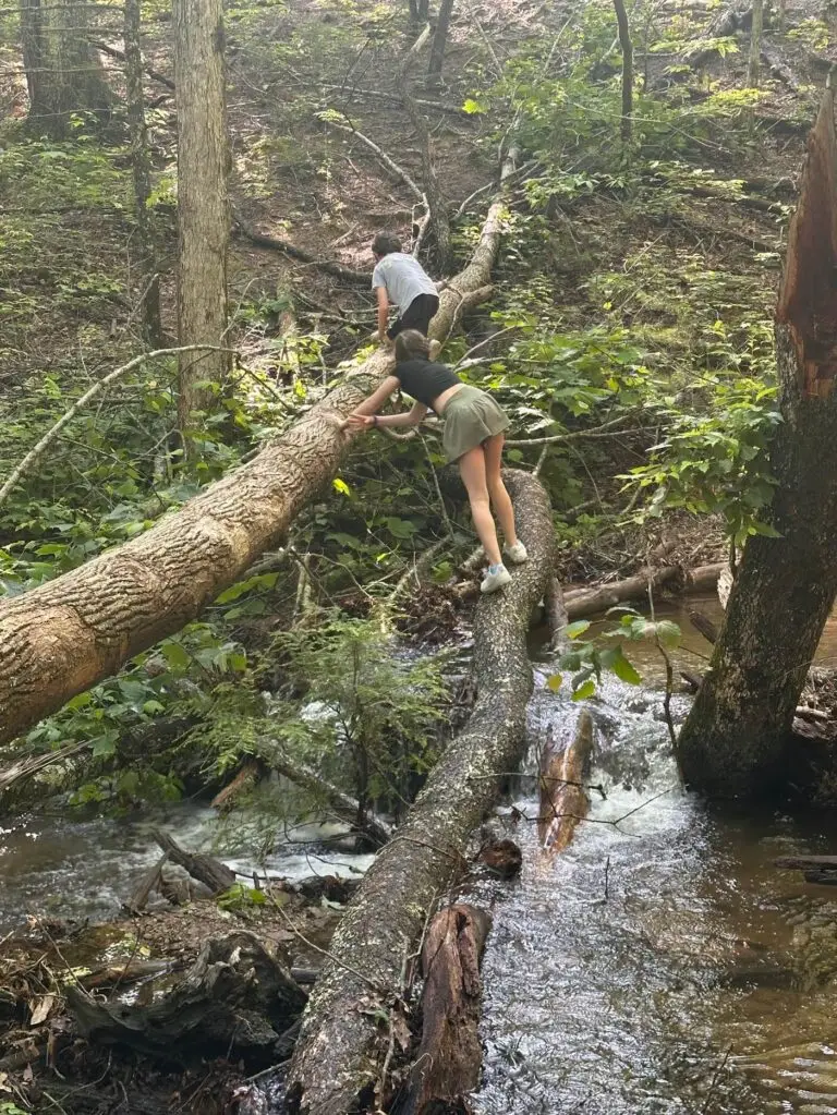 cades-cove-exploring