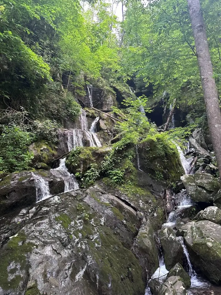 The Place of a Thousand Drips