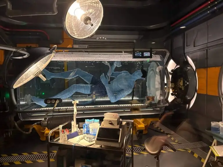 Avatars in the Flight of Passage queue