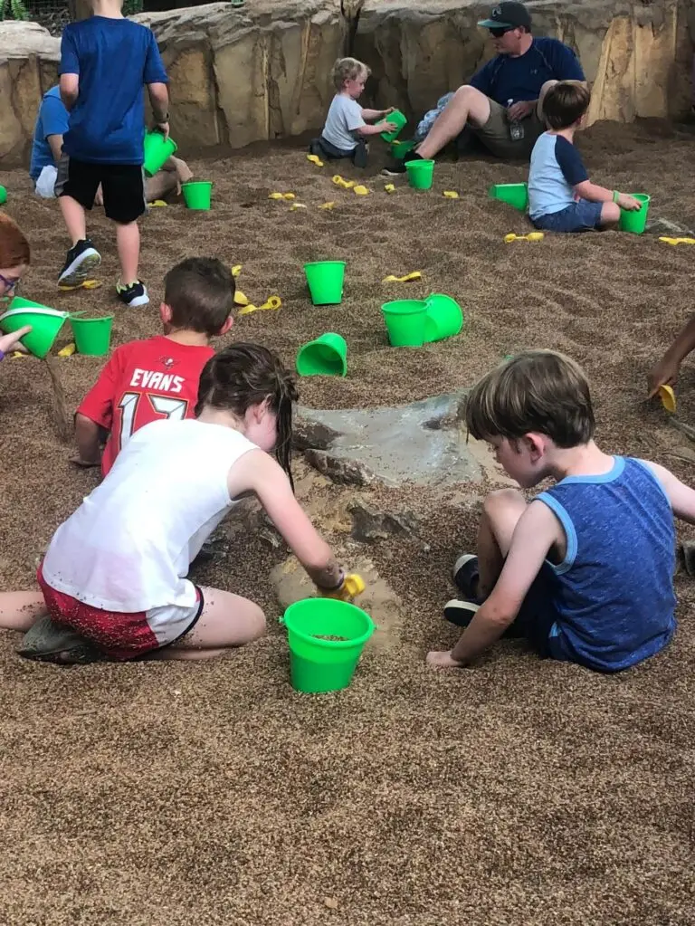 The dig area at the Boneyard Playground