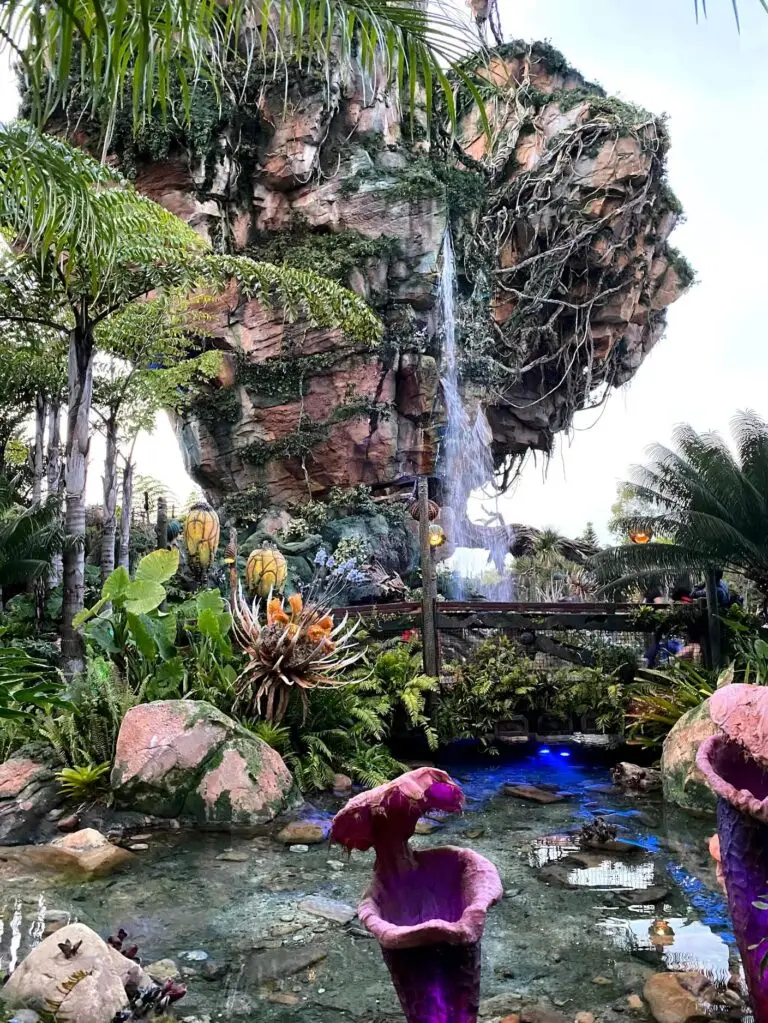 Waterfall in Pandora