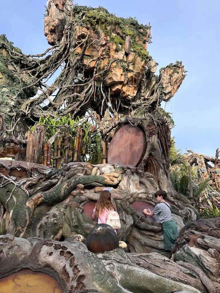 Beating the drums in Pandora