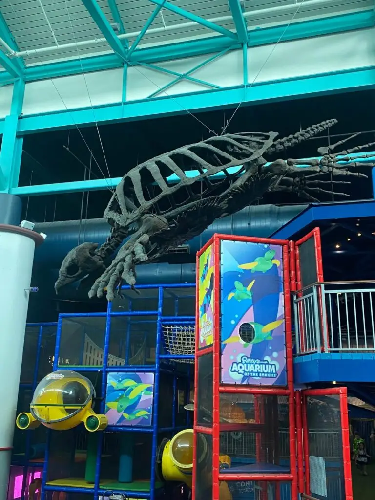 There's a huge kids play area at the Aquarium