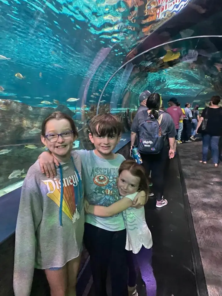 Shark tunnel at the Ripley's Aquarium