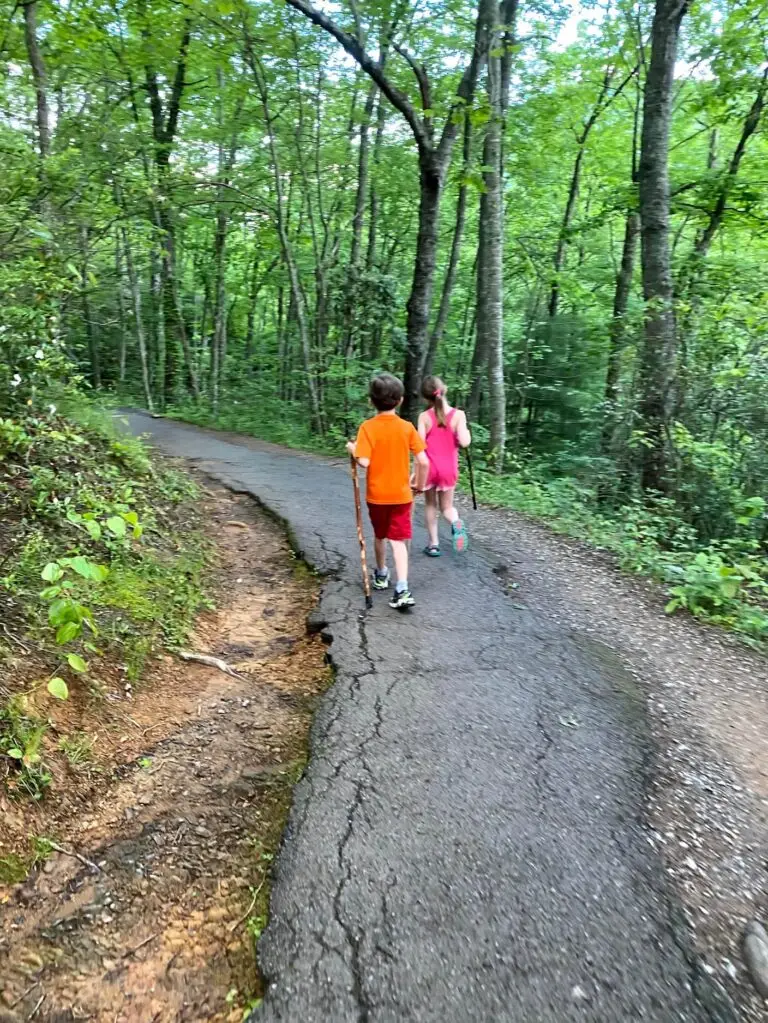 The Laurel Falls Trail is partially paved.