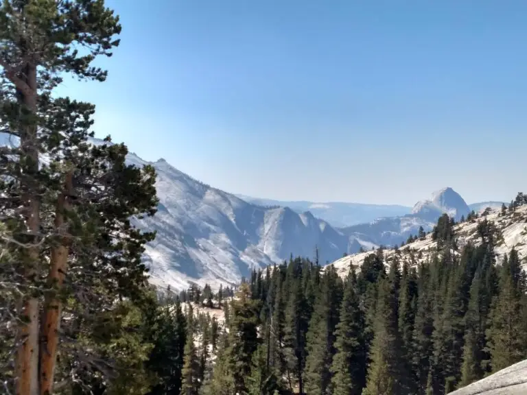 View of Half Dome from Olmsted Point