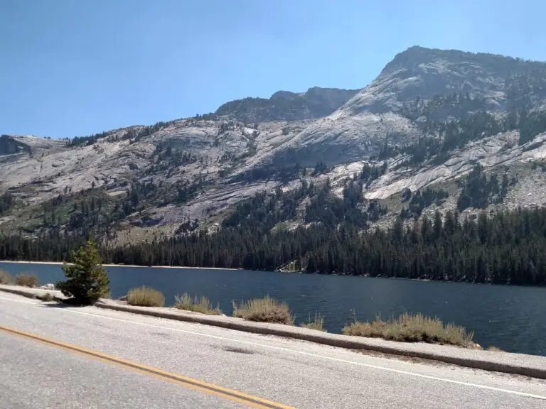 Tioga Road passes Tenaya Lake