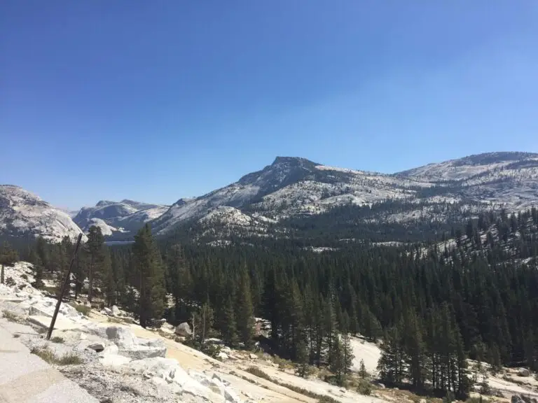 Beautiful views on Tioga Road