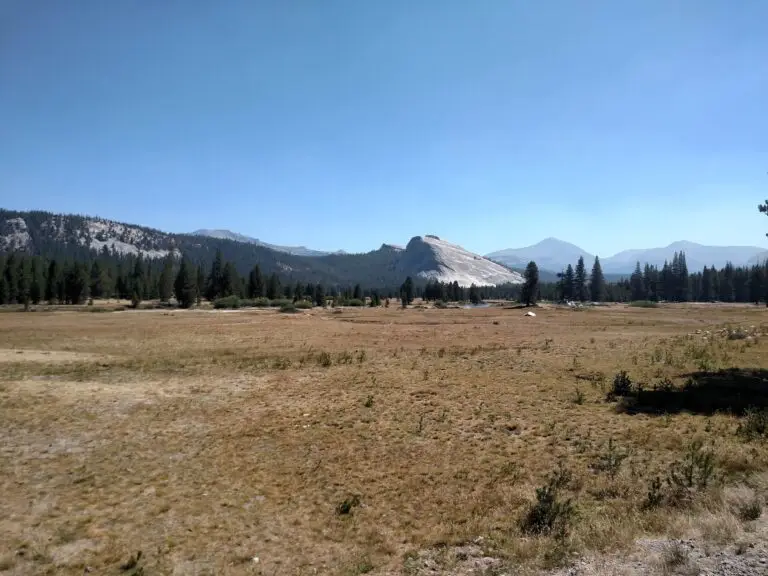 Tuolumne Meadows