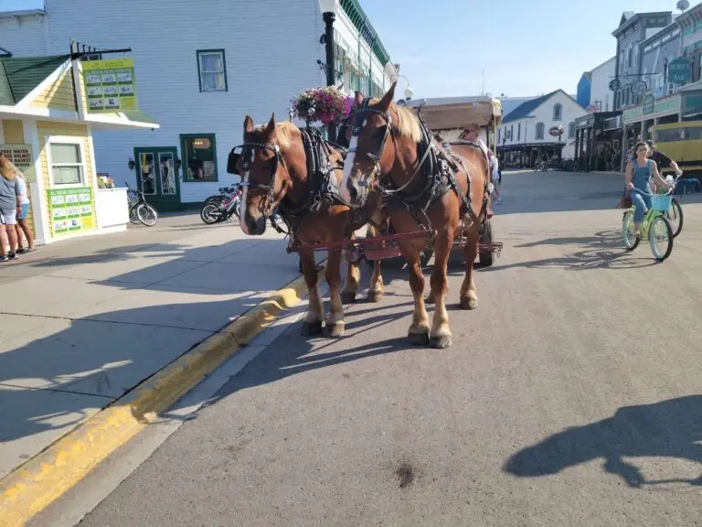 Horse drawn taxis can take you to your hotel