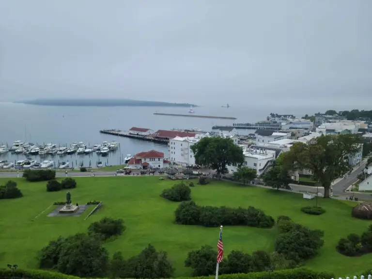 View from the Tea Room