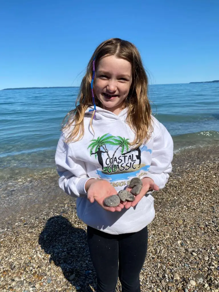 Finding Petosky stones