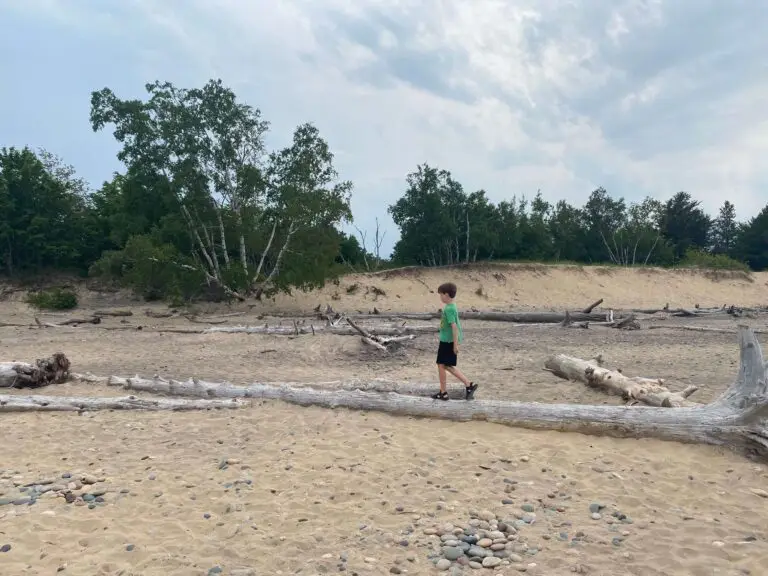 Whitefish Point beach has driftwood that makes fun balance beams!