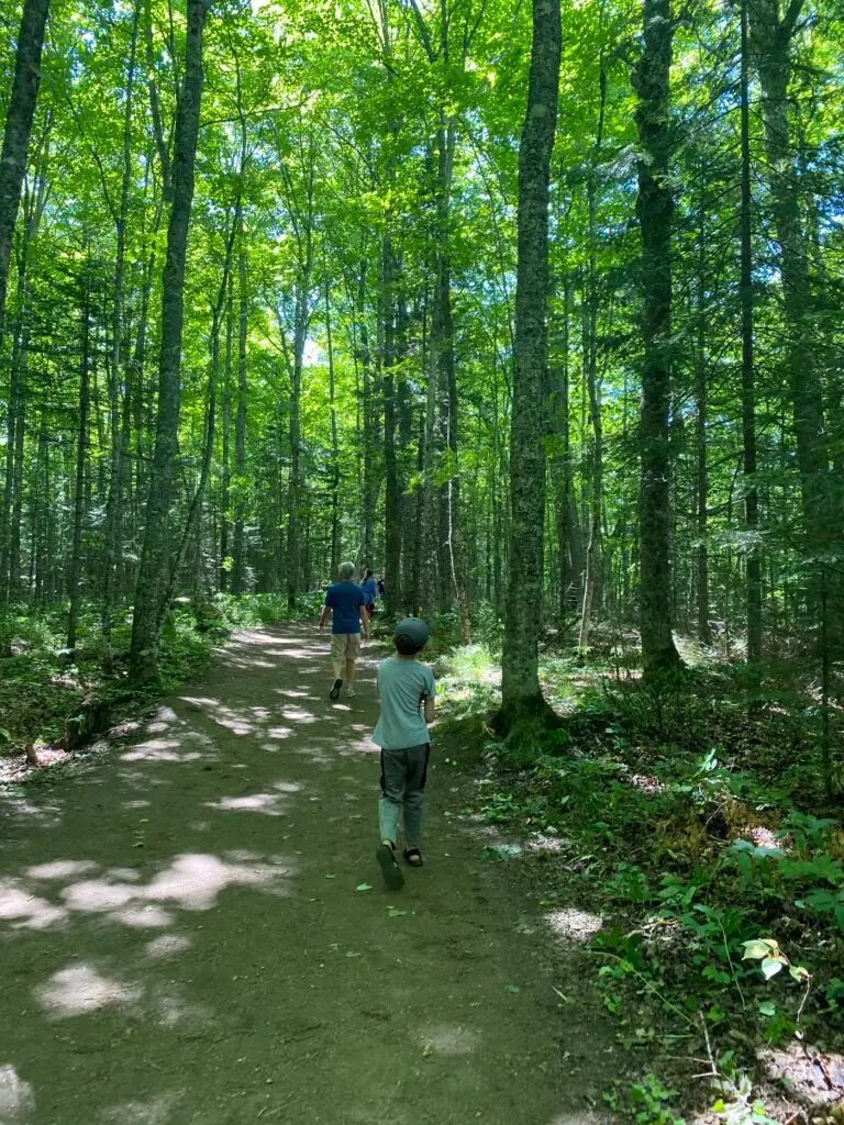 Trail to Miners Falls is easy but unpaved and goes through a beautiful forrest.