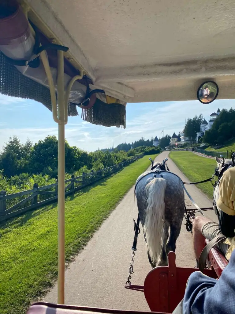 Getting to your hotel is a fun adventure!