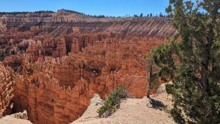 PXL_20231006_203904904