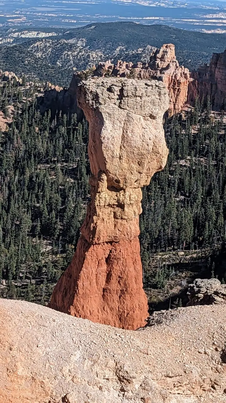 PXL_20231006_215329298