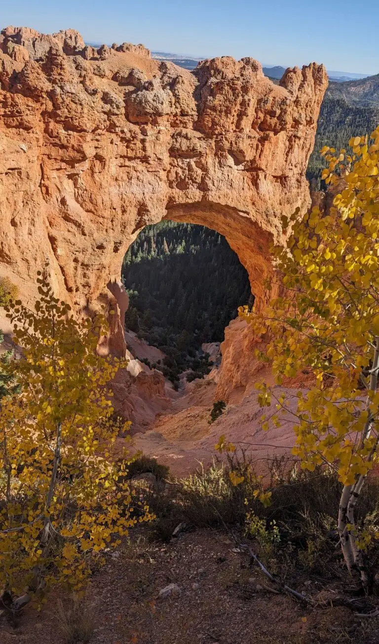 PXL_20231006_220158140