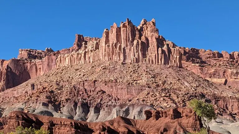 PXL_20231008_223238610