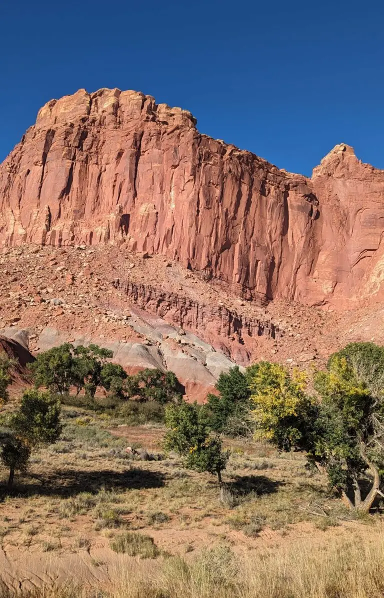 PXL_20231008_223741533