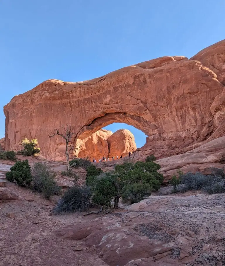 PXL_20231010_155725352