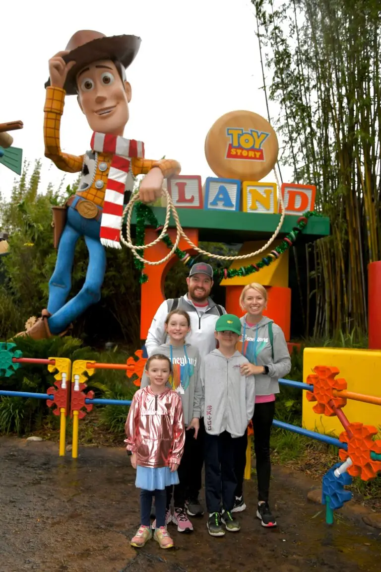 Toy Story Land