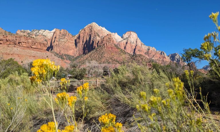 PXL_20231006_165119406