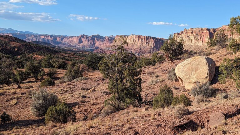 PXL_20231008_231834748