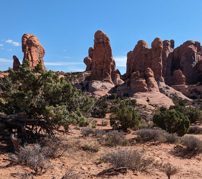 Rock formations in Arches National Park