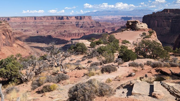 PXL_20231010_200829800~2