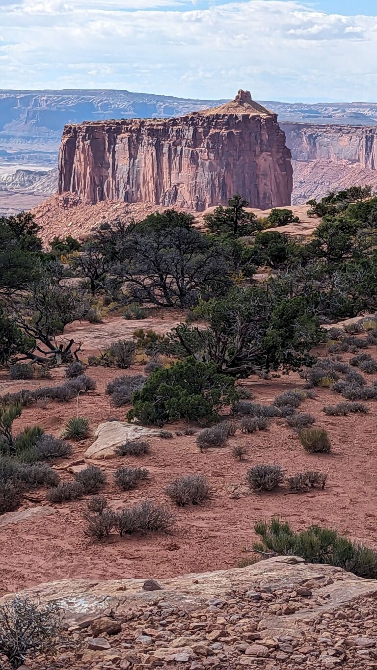 PXL_20231010_204058024